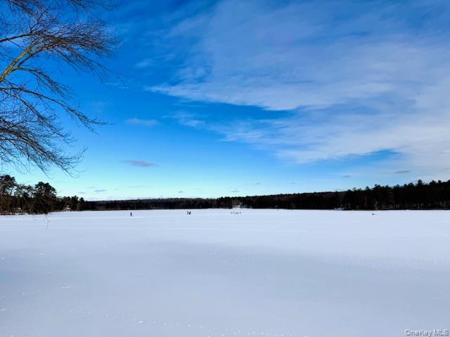 195 W Mohican Trail – For Sale photo 3