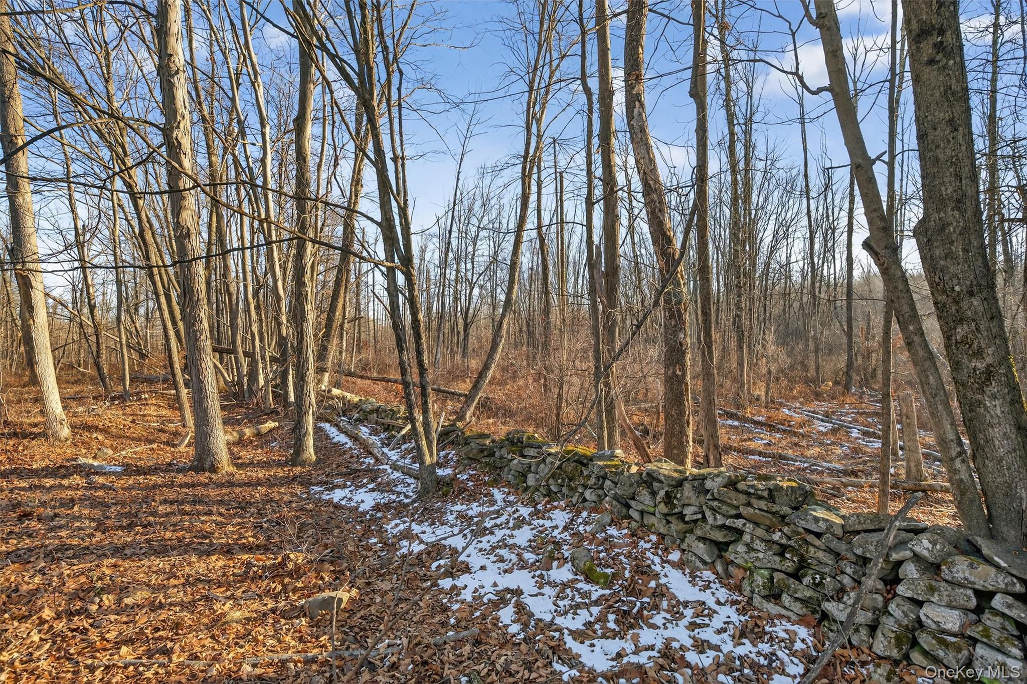 Eatontown Road – For Sale photo 7