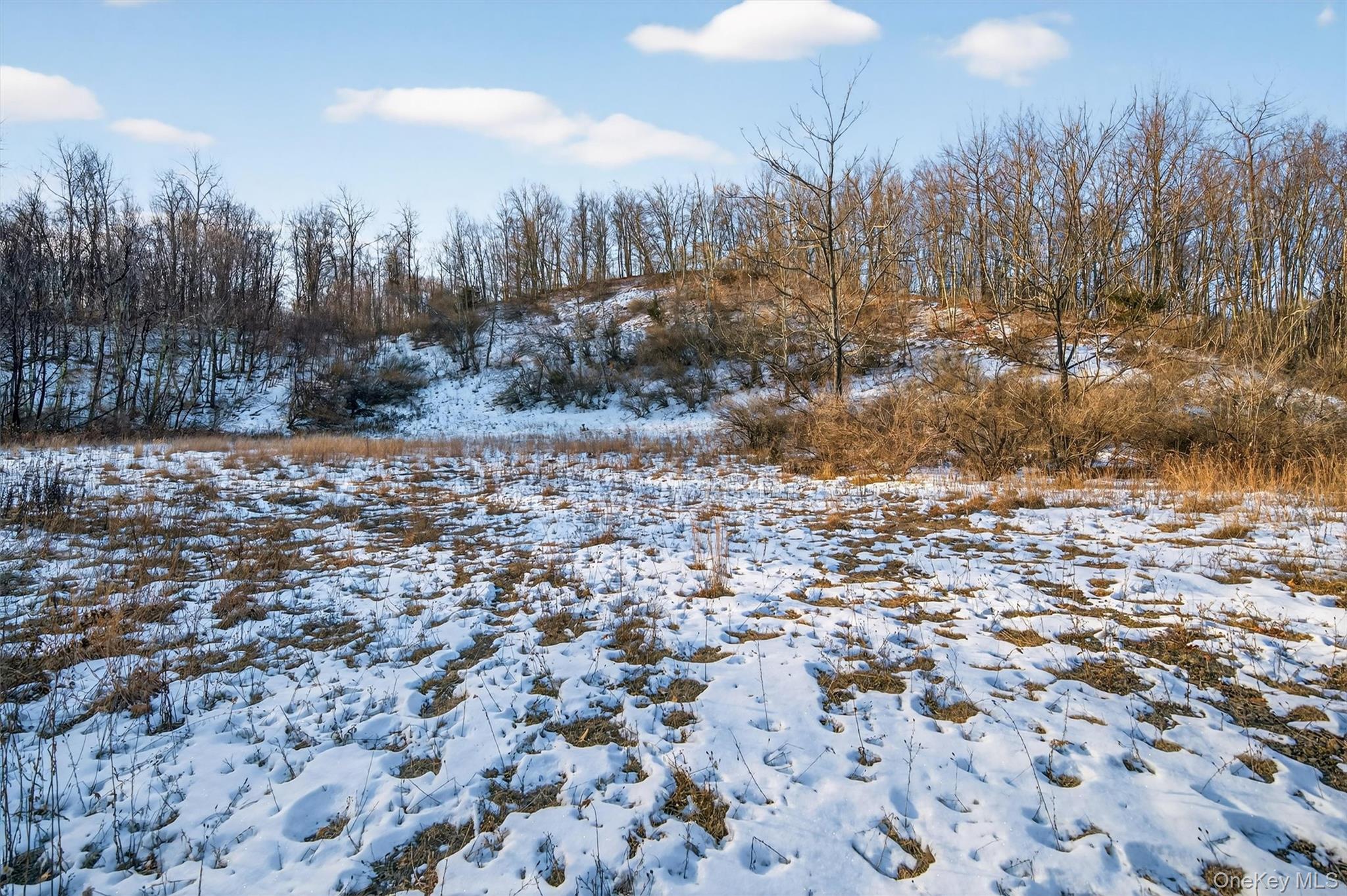 Eatontown Road – For Sale photo 6