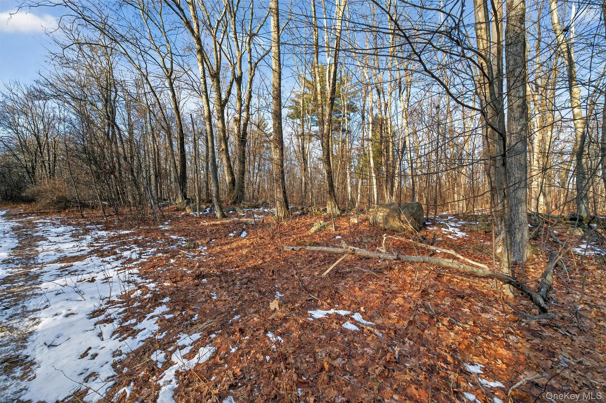Eatontown Road – For Sale photo 27