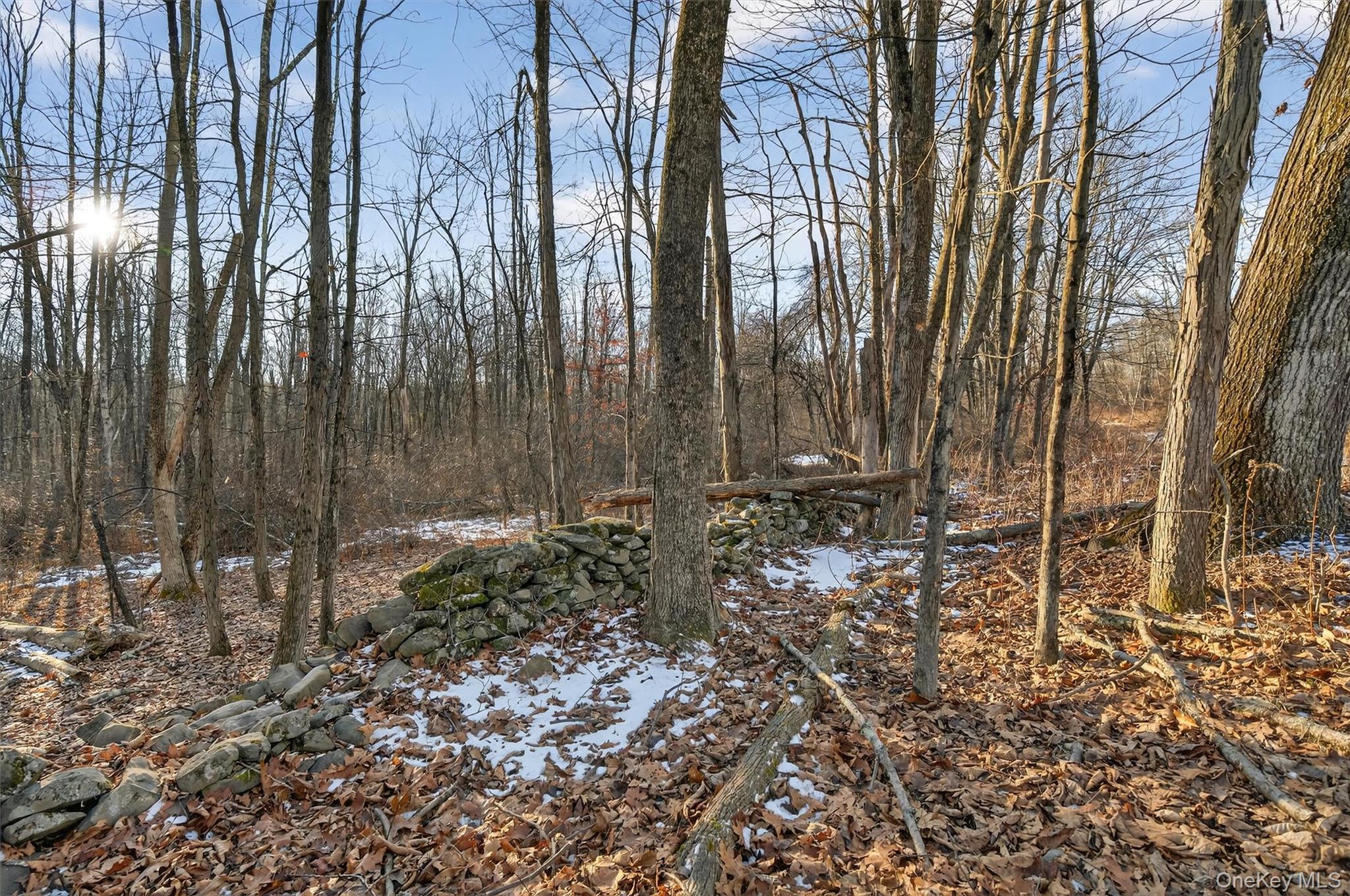 Eatontown Road – For Sale photo 21
