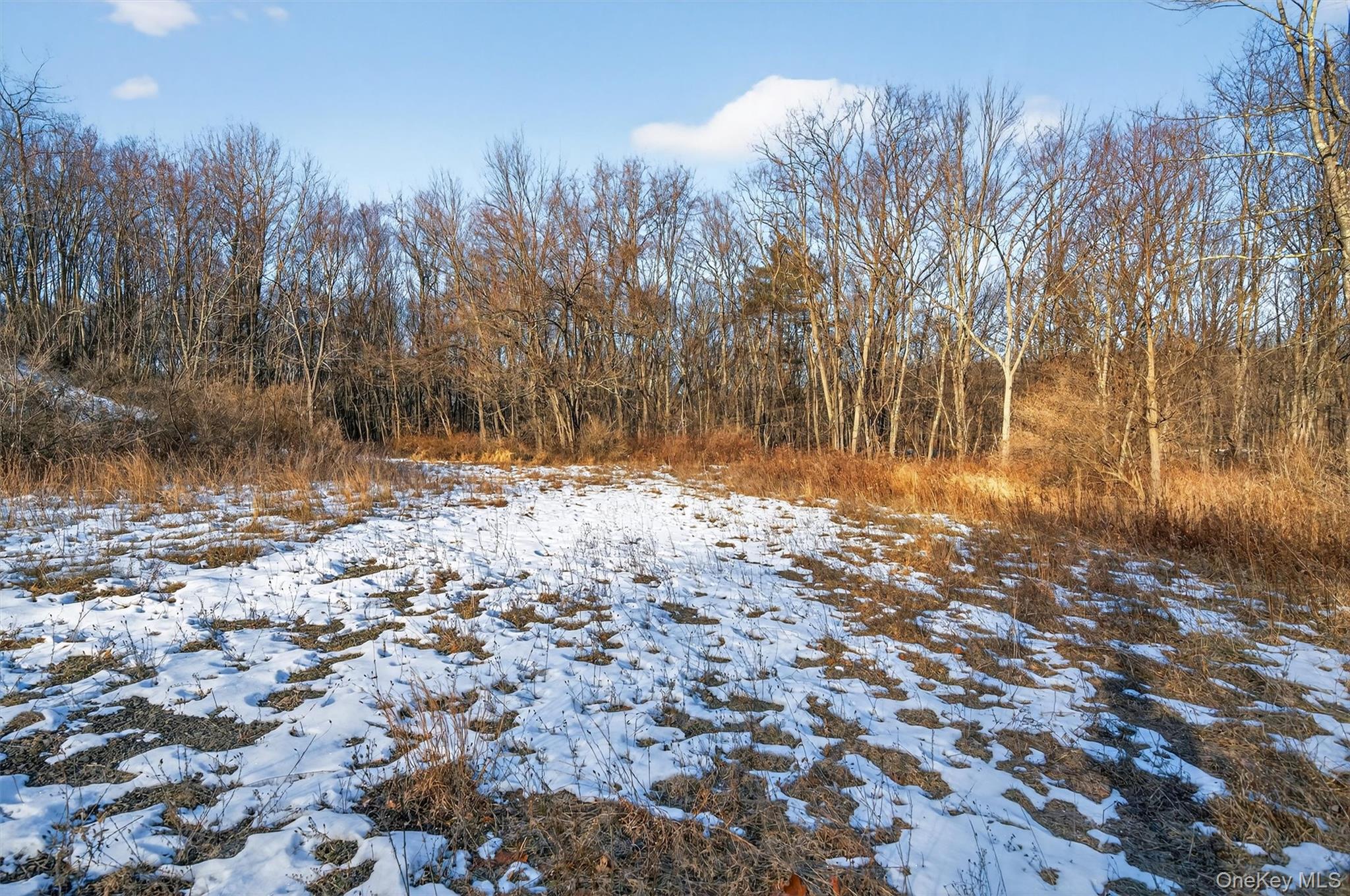 Eatontown Road – For Sale photo 19