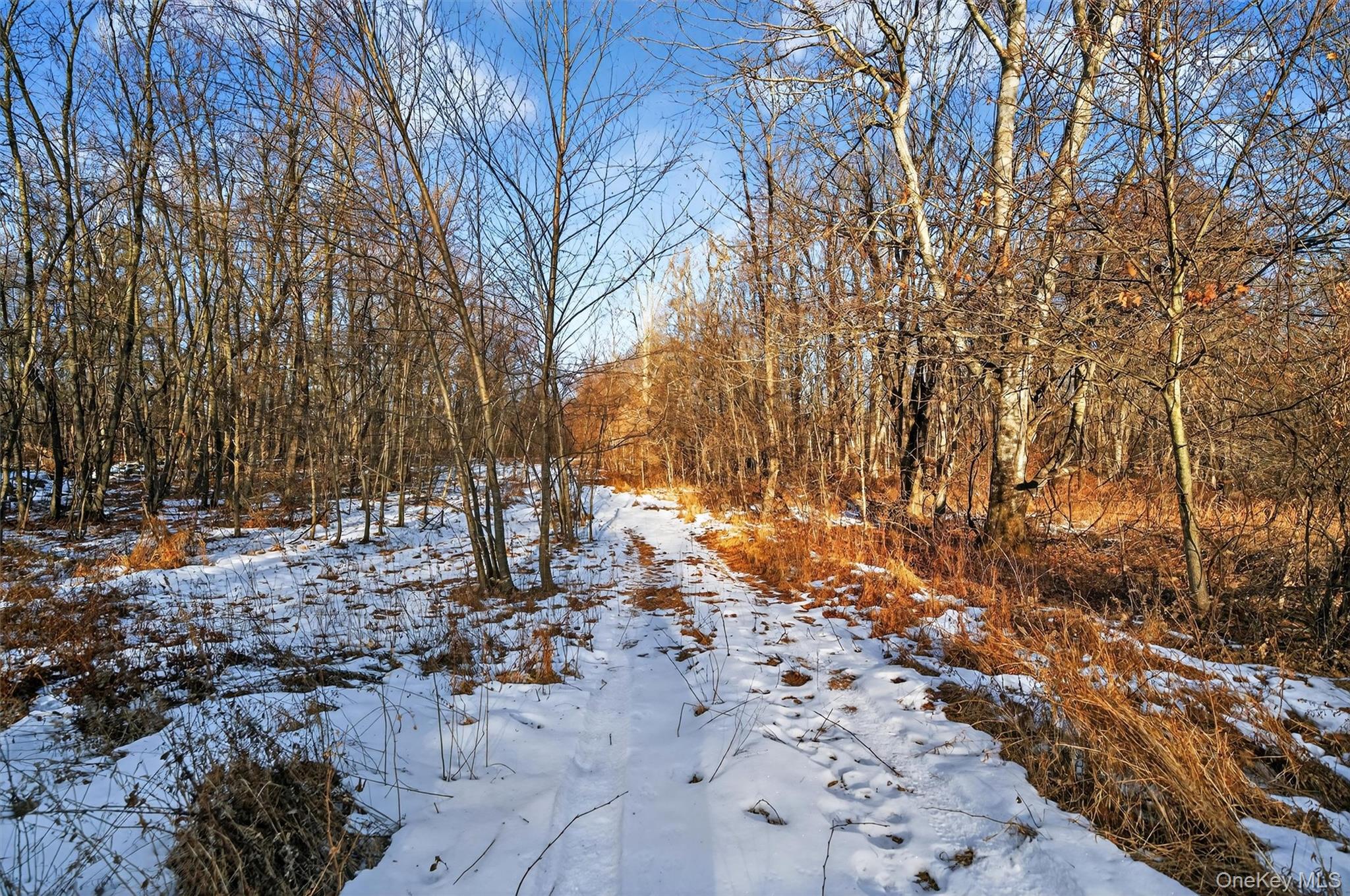 Eatontown Road – For Sale photo 24