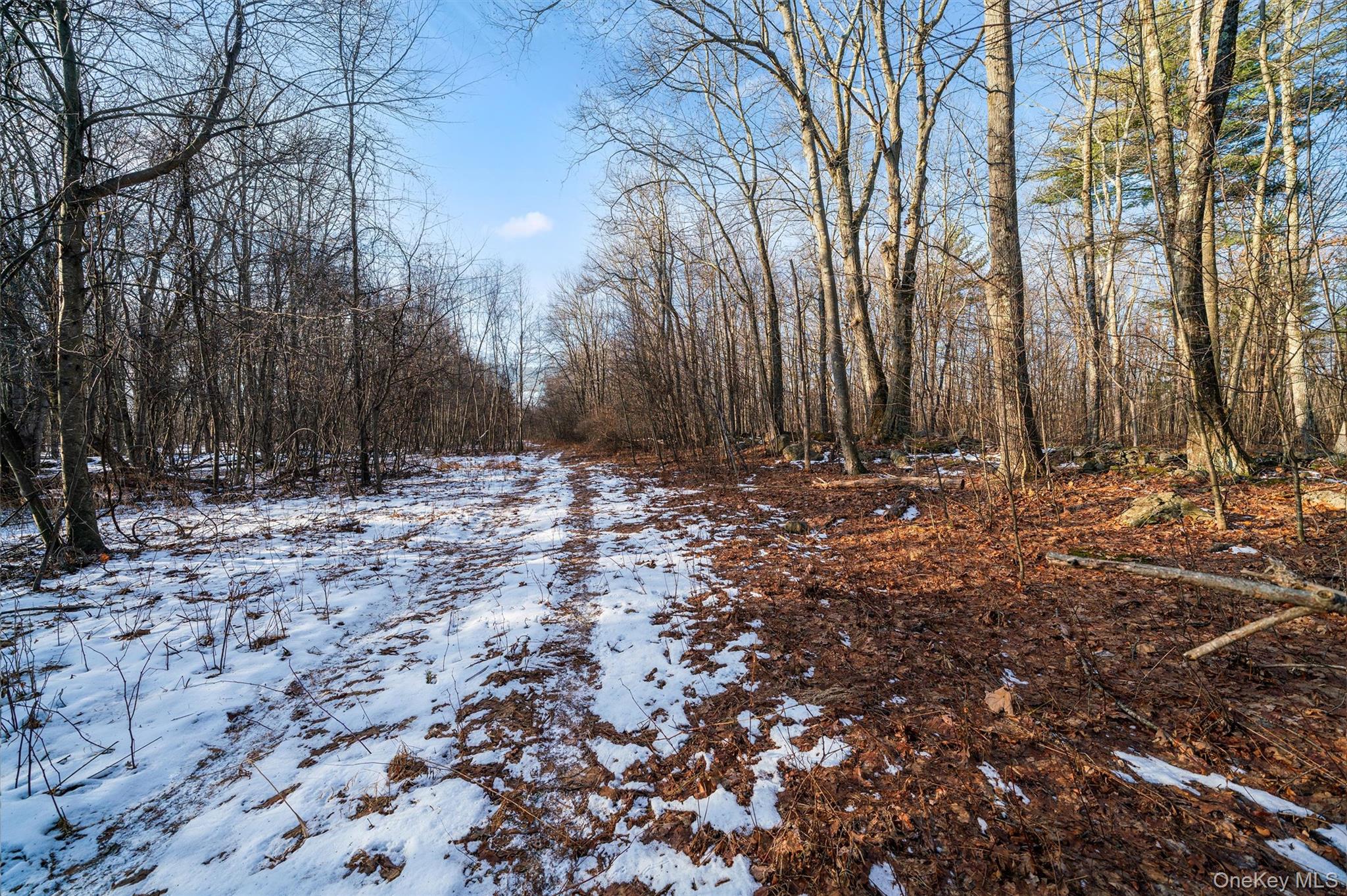 Eatontown Road – For Sale photo 12