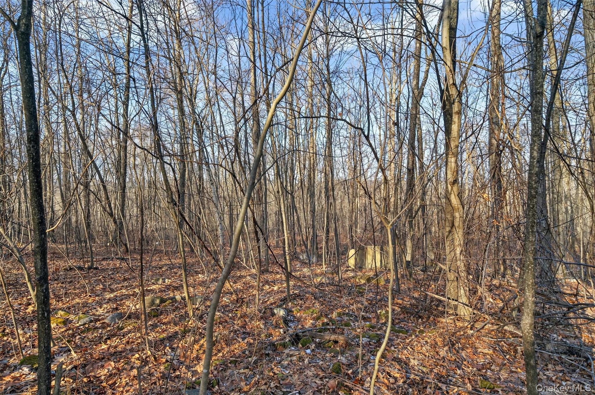 Eatontown Road – For Sale photo 30