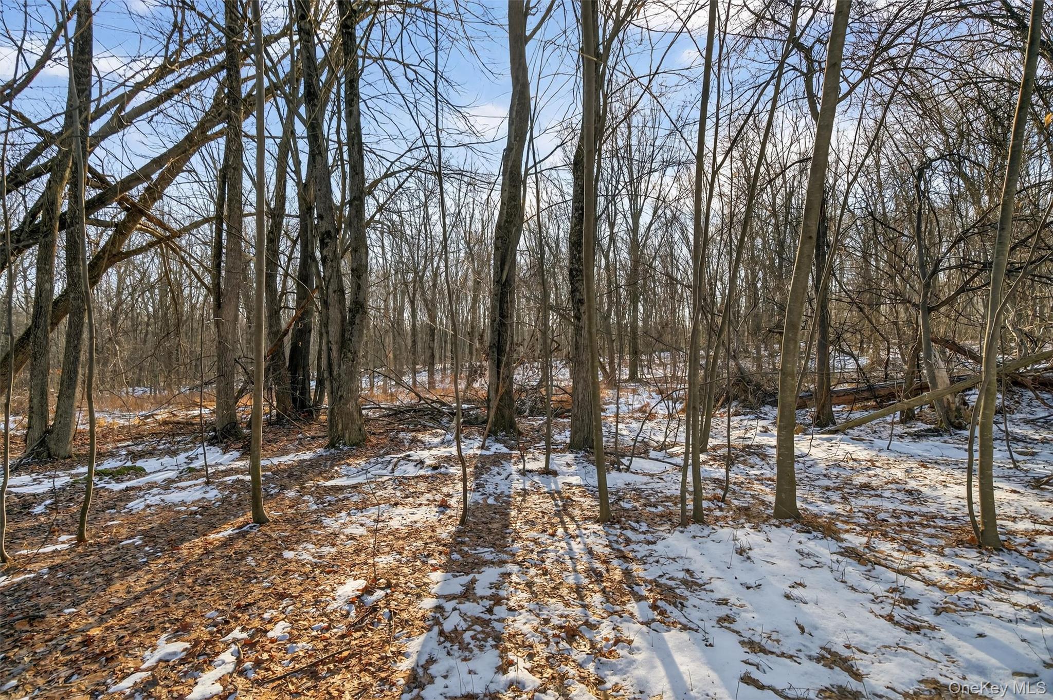 Eatontown Road – For Sale photo 25