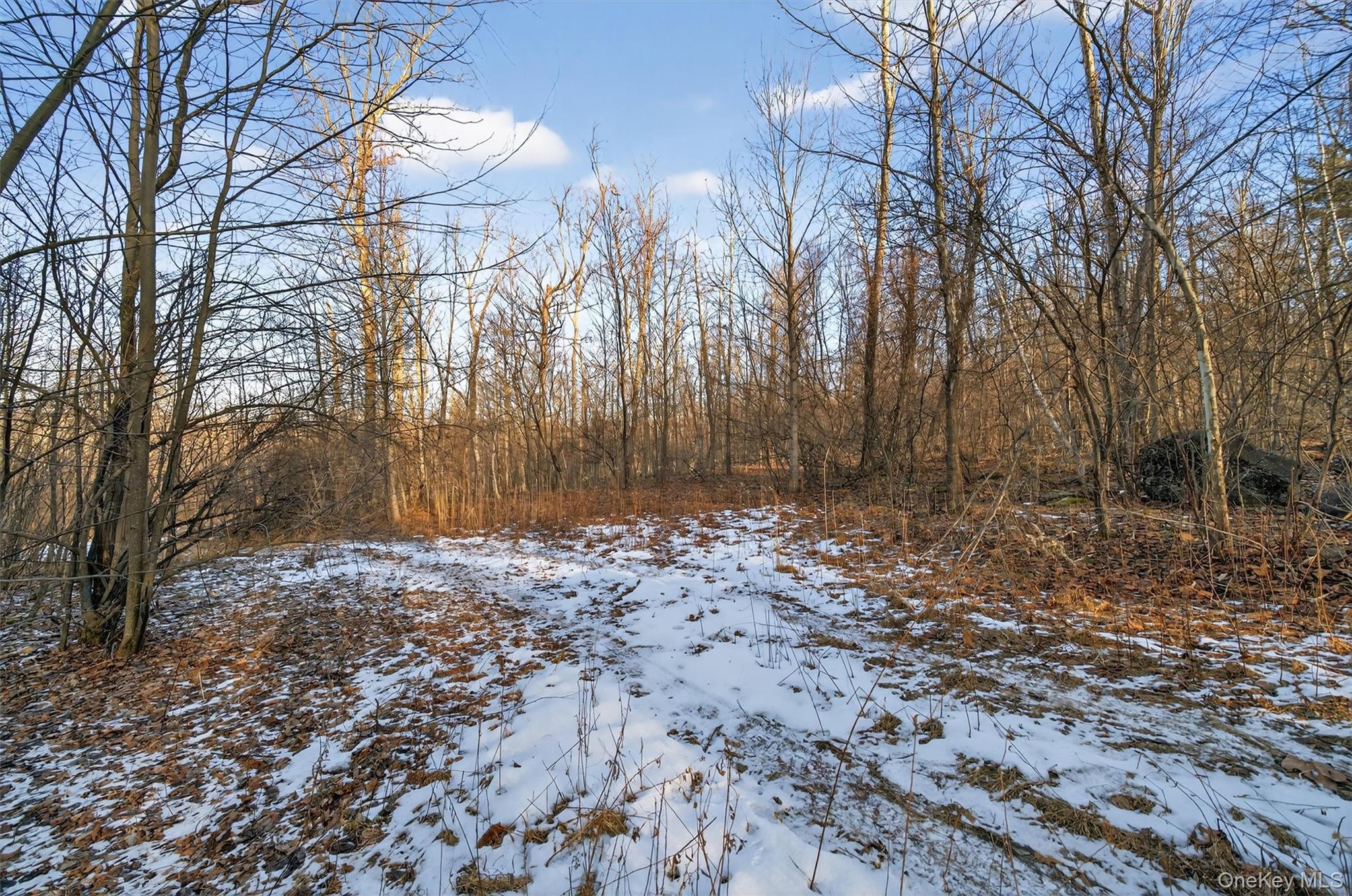 Eatontown Road – For Sale photo 29