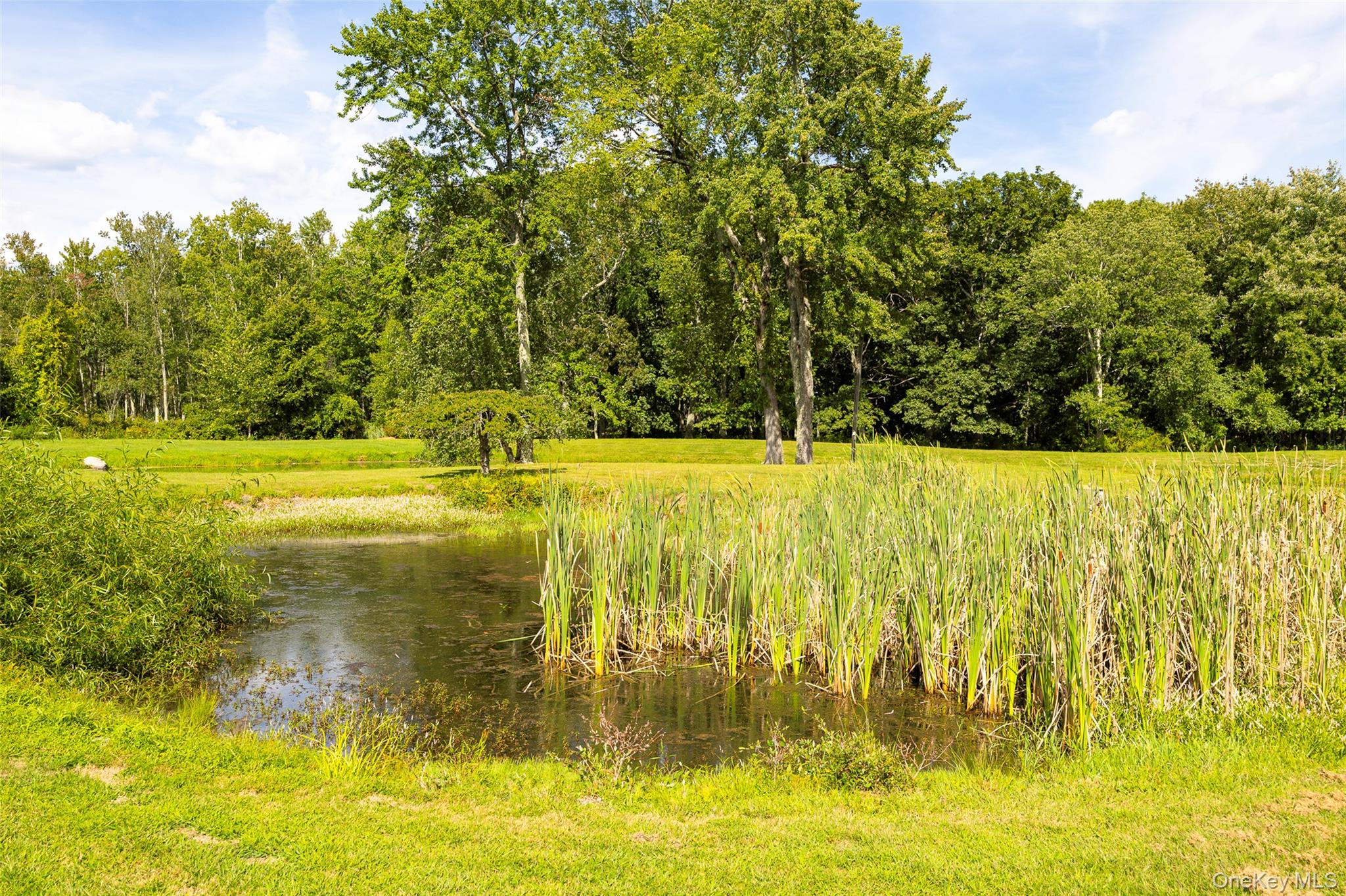 89 Deer Pond Road – For Sale photo 38