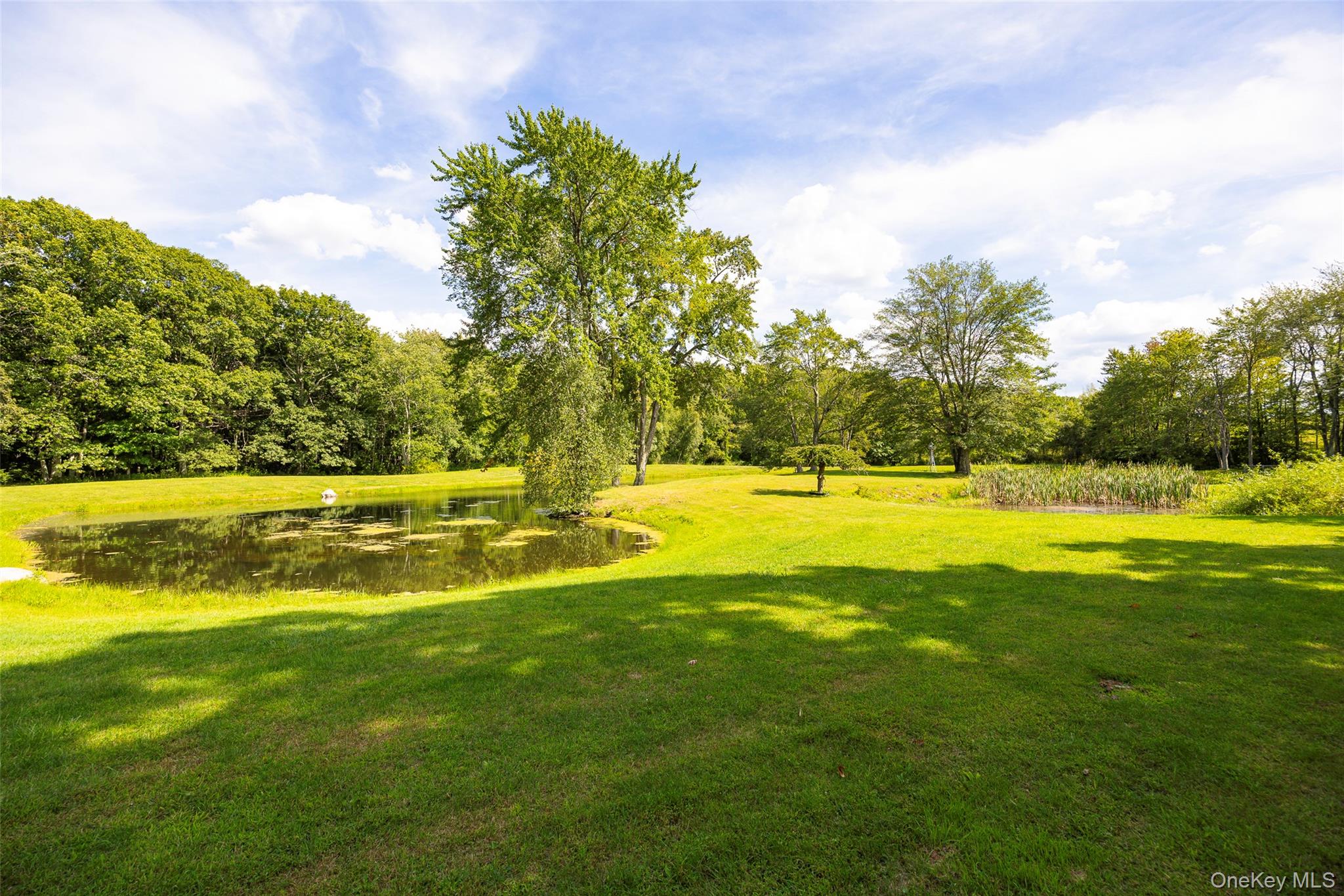 89 Deer Pond Road – For Sale photo 39