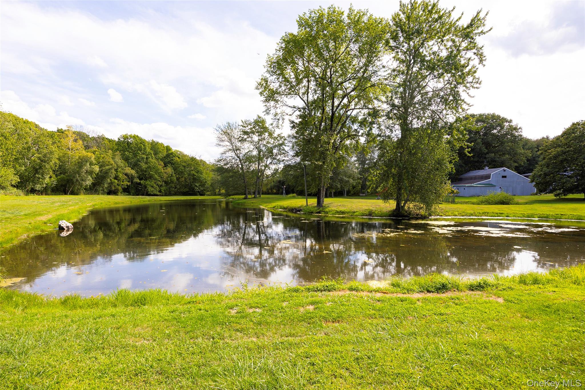 89 Deer Pond Road – For Sale photo 36