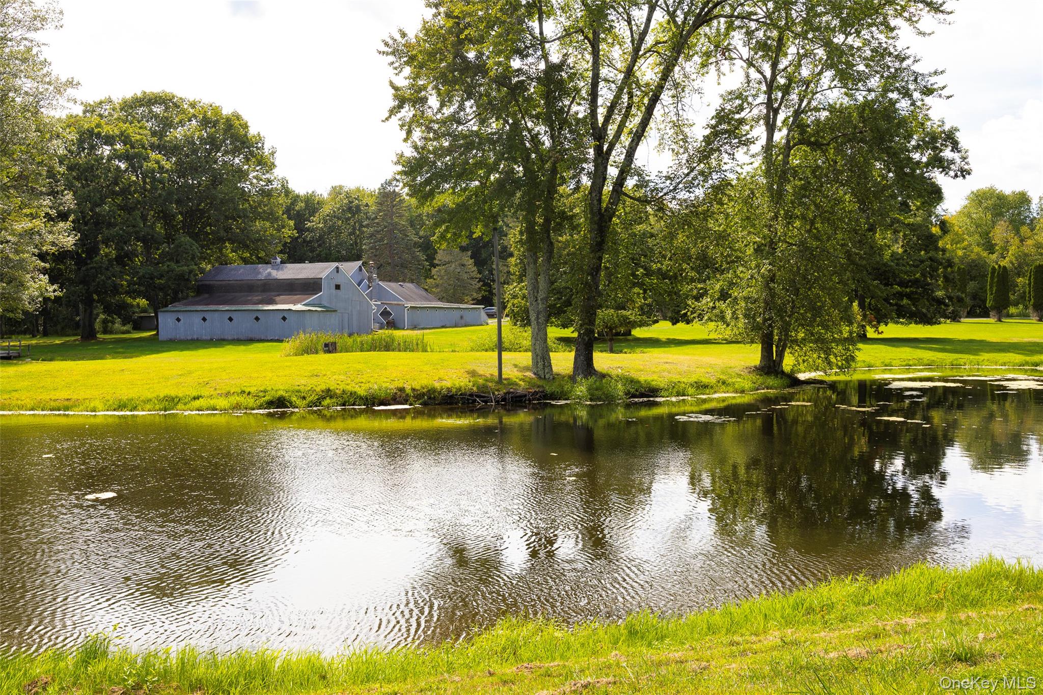 89 Deer Pond Road – For Sale photo 35