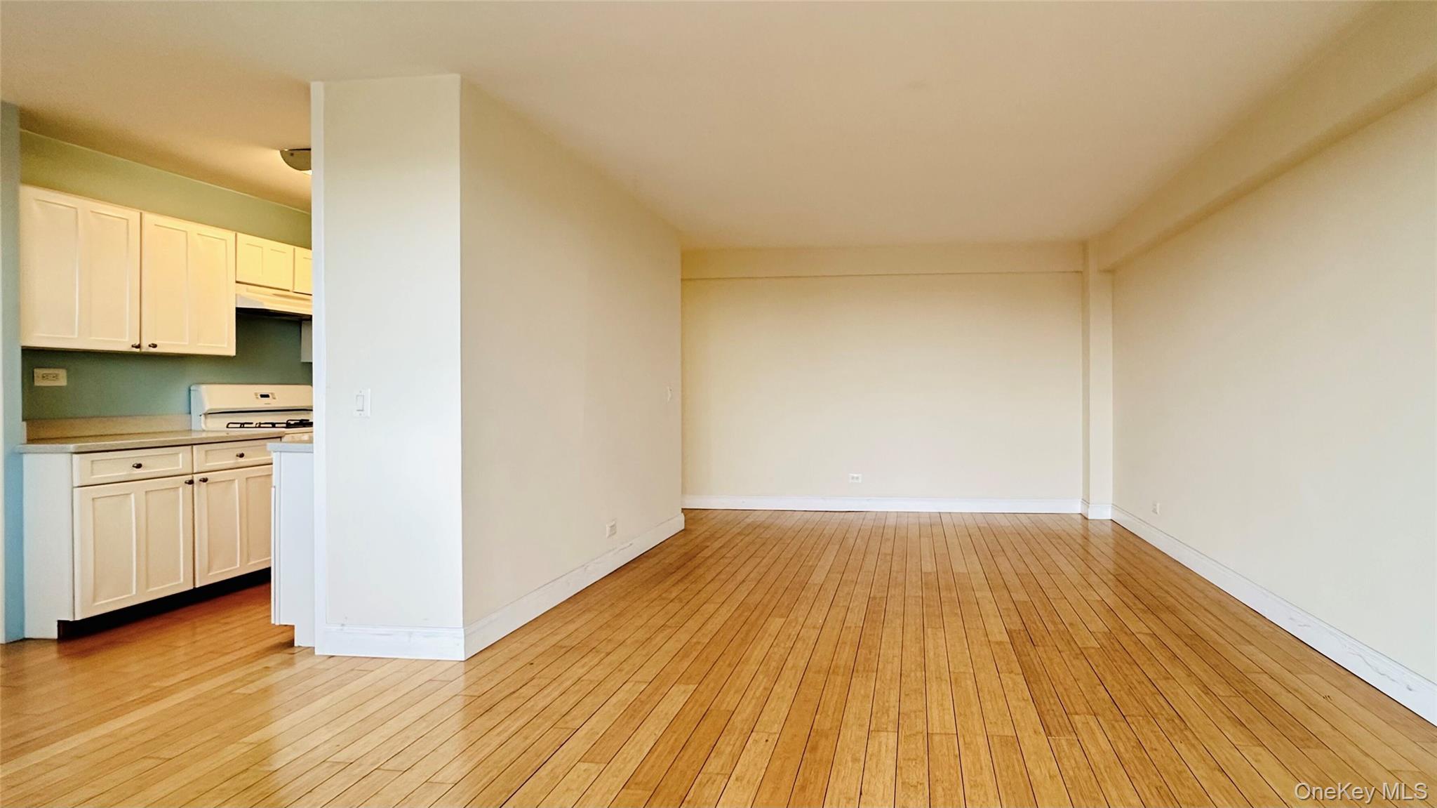 880 Boynton Avenue, Unit 18A photo 11