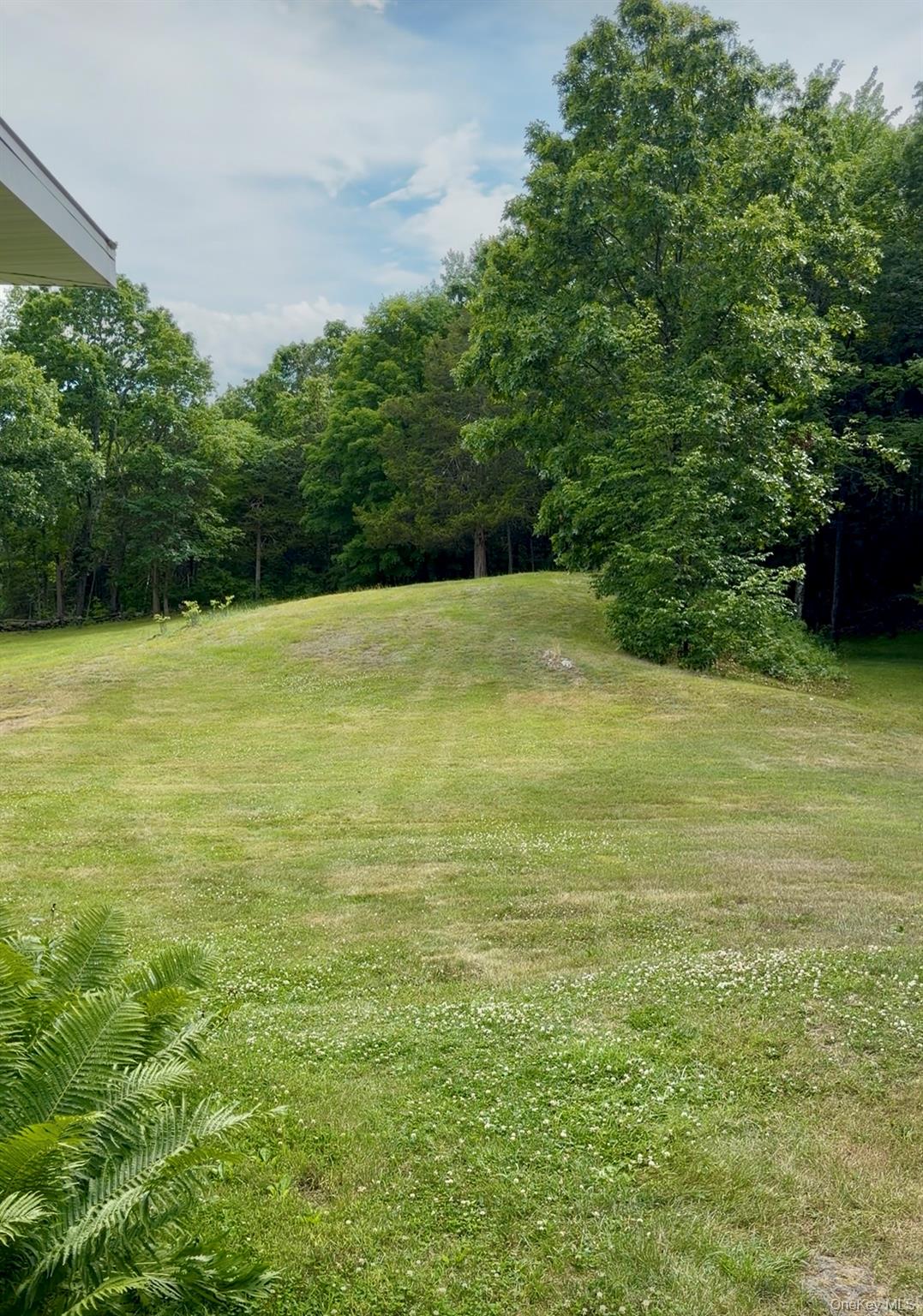 91-97 Sawmill Road – For Rent photo 6