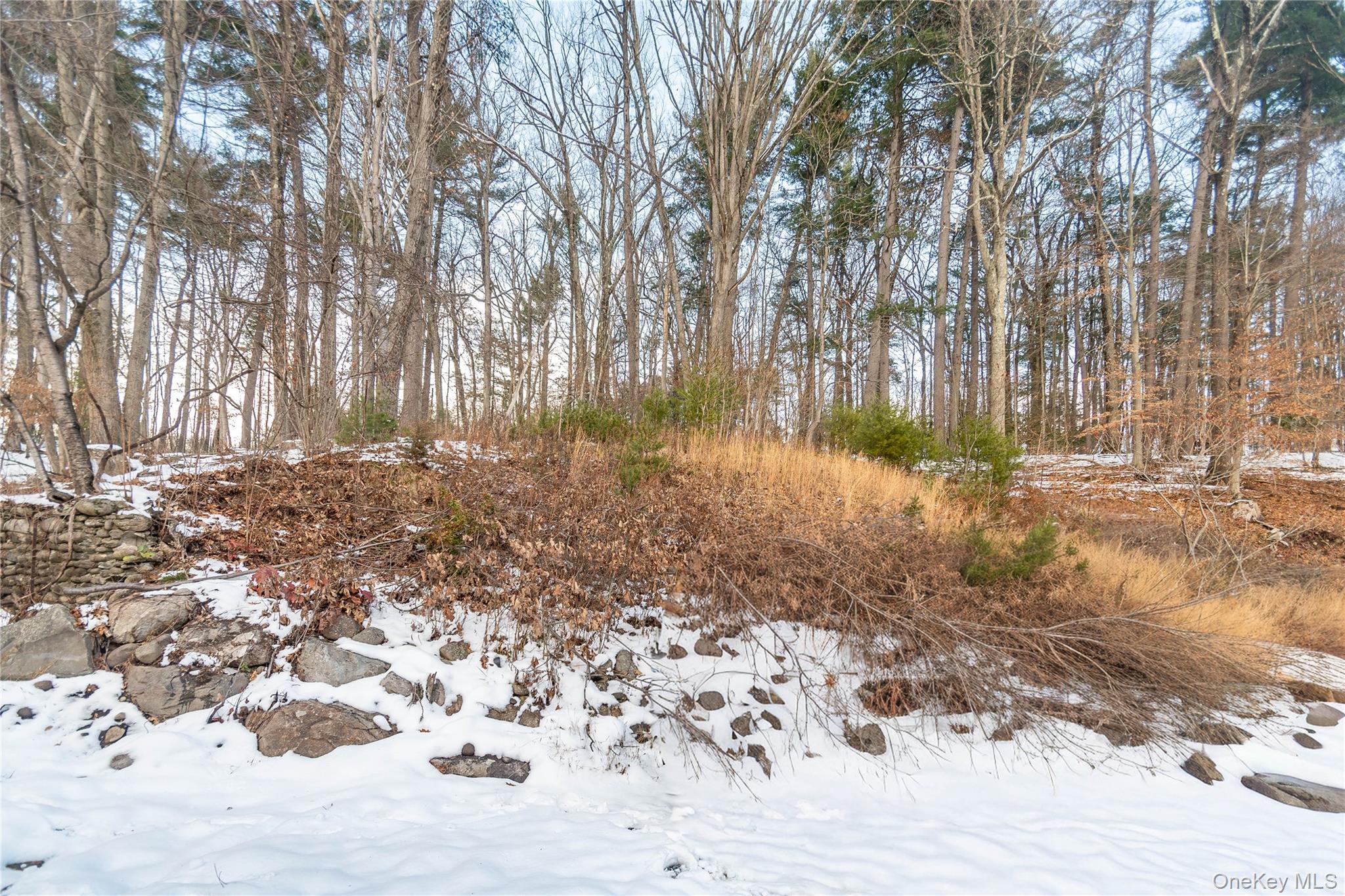 112 State Route 55 – For Sale photo 40