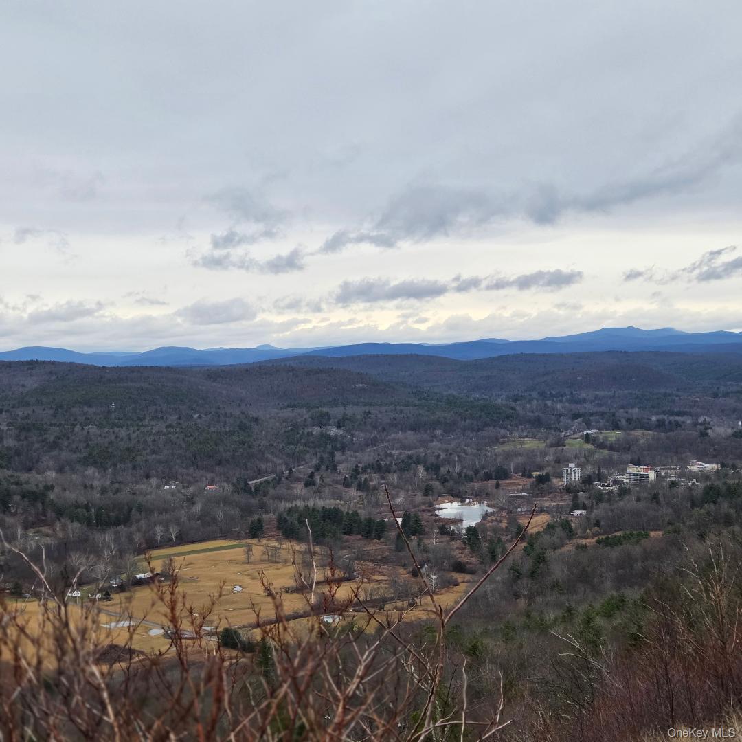 112 State Route 55 – For Sale photo 42