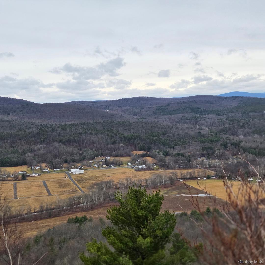 112 State Route 55 – For Sale photo 43