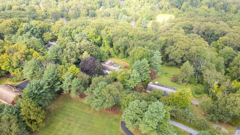 43 Points Of View – For Sale photo 12