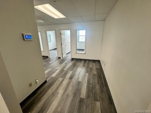 25 Spring Street, Unit 205 photo 5