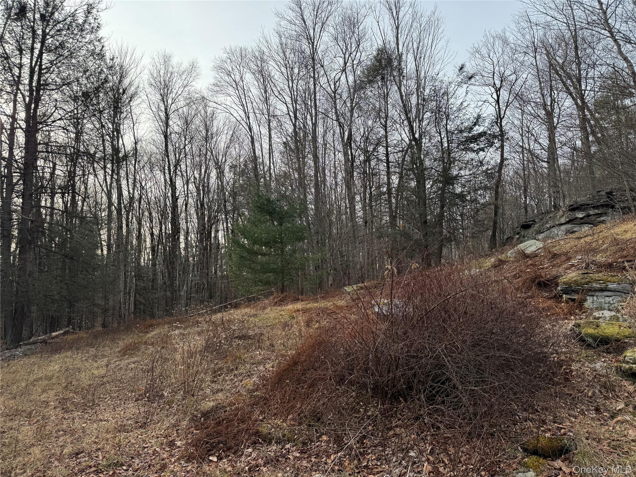 Hilltop Road – For Sale photo 9