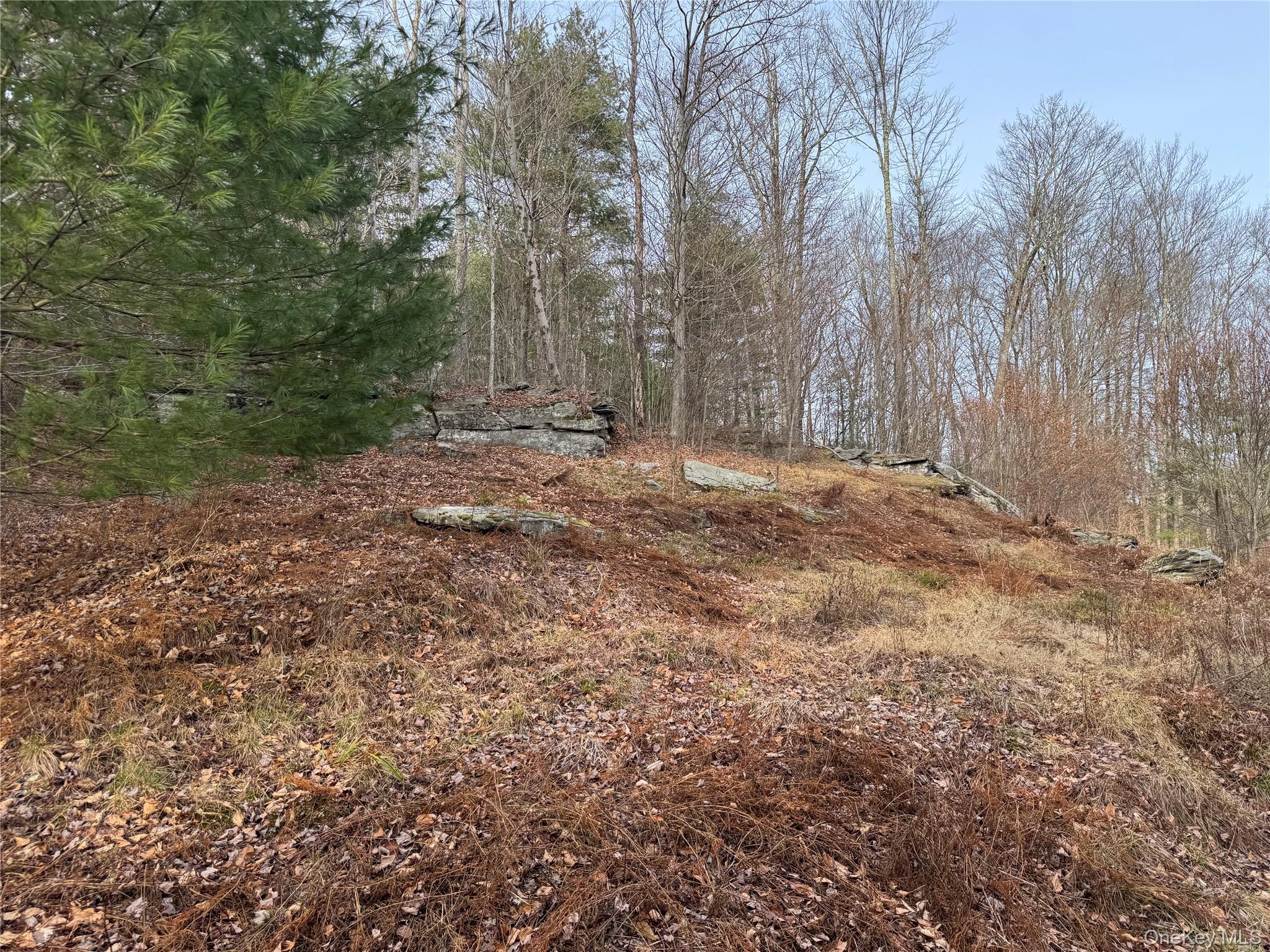 Hilltop Road – For Sale photo 4