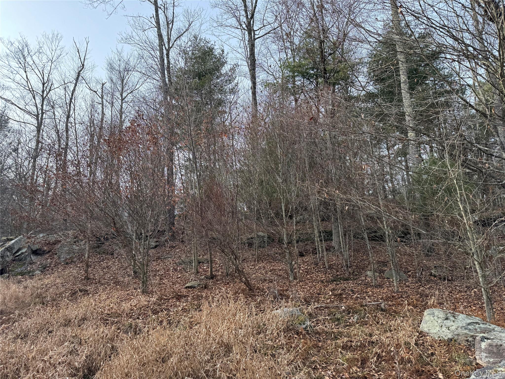 Hilltop Road – For Sale photo 12