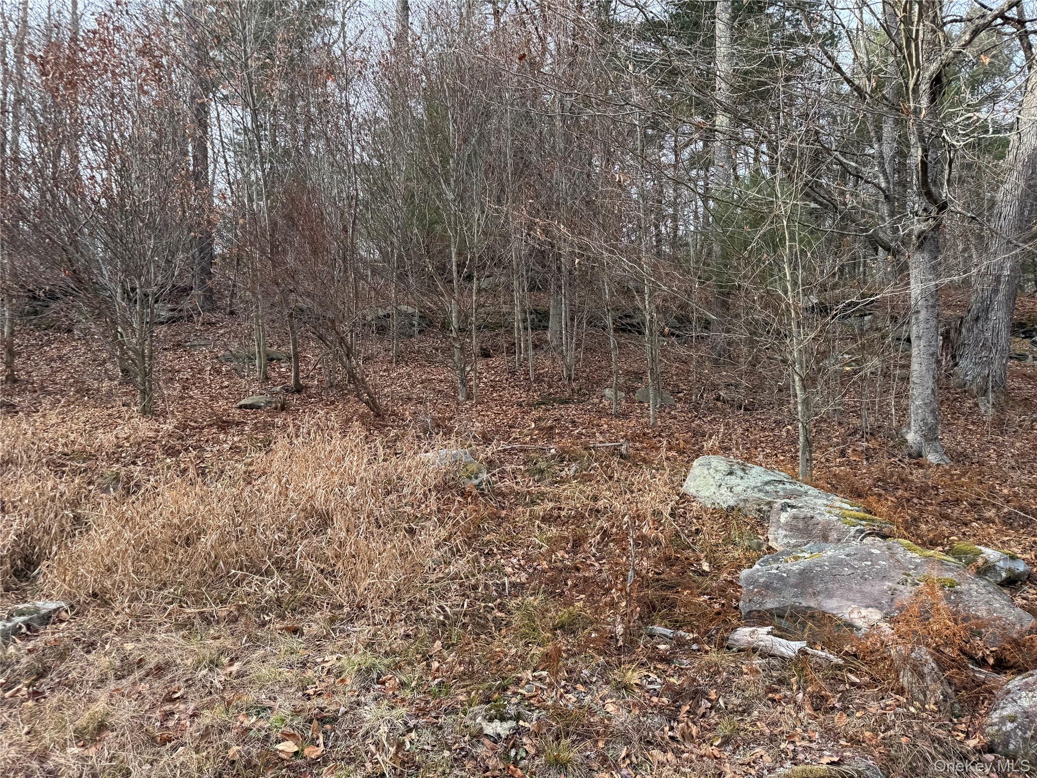 Hilltop Road – For Sale photo 11