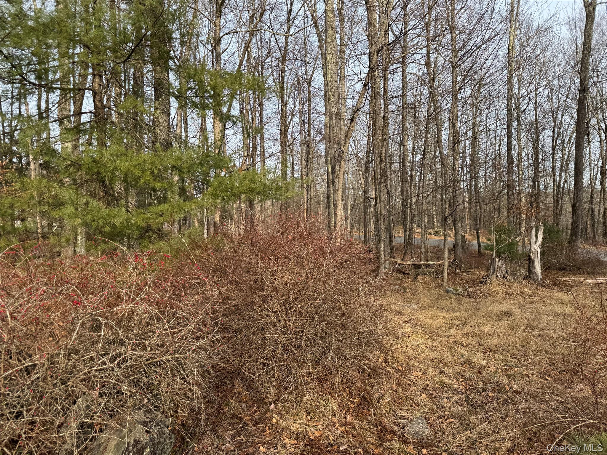 Hilltop Road – For Sale photo 10