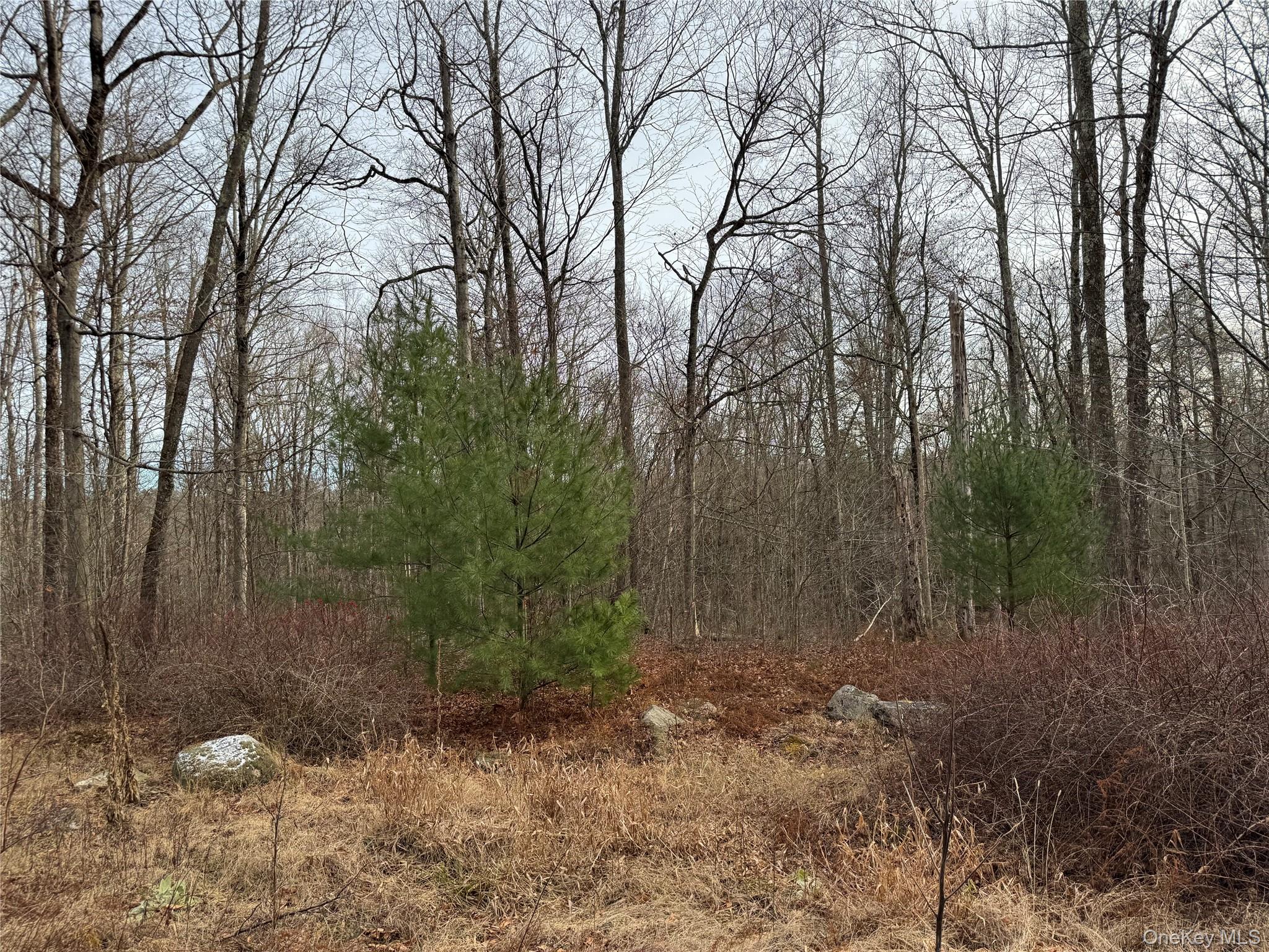 Hilltop Road – For Sale photo 8