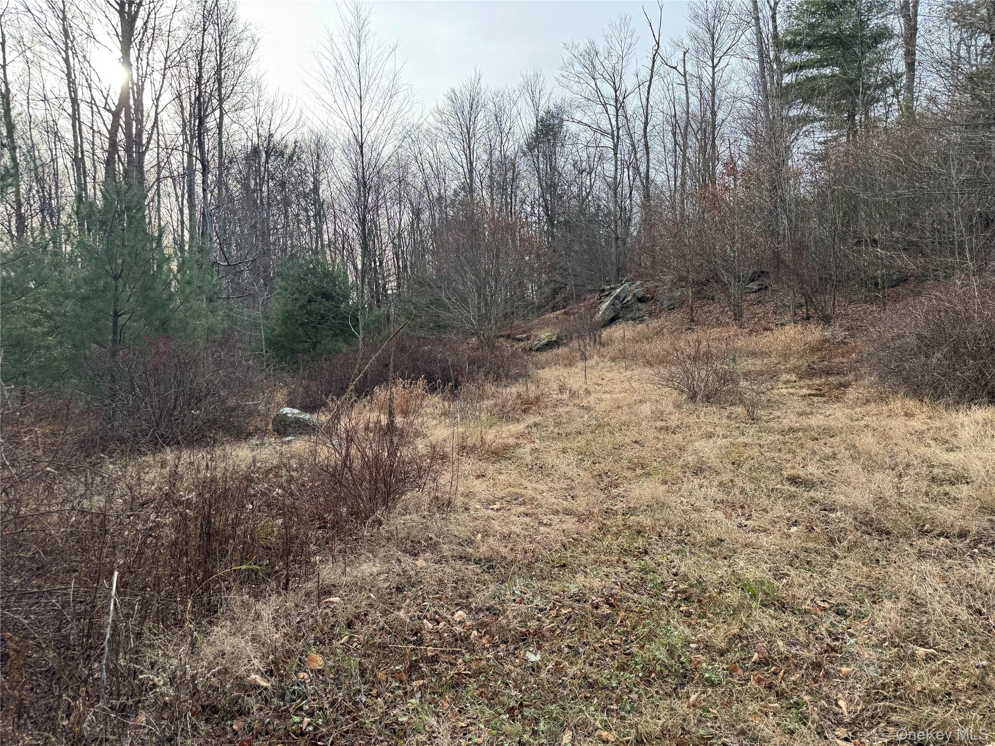 Hilltop Road – For Sale photo 5