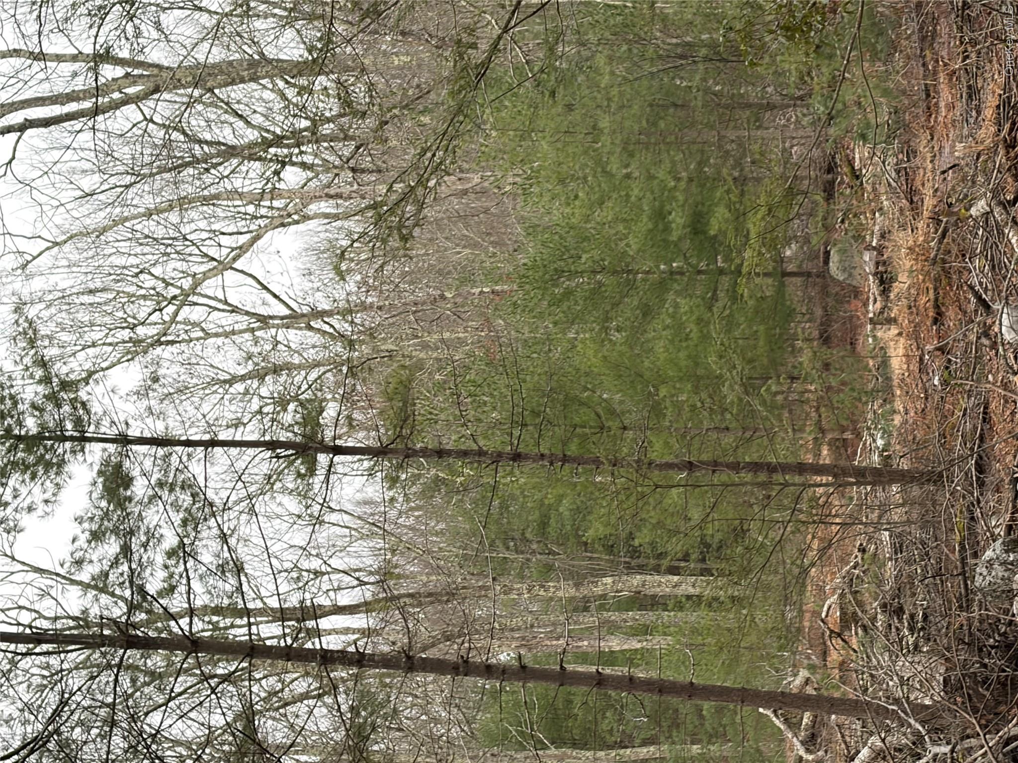 Allen Road – For Sale photo 10