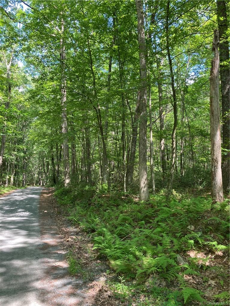 Allen Road – For Sale photo 5