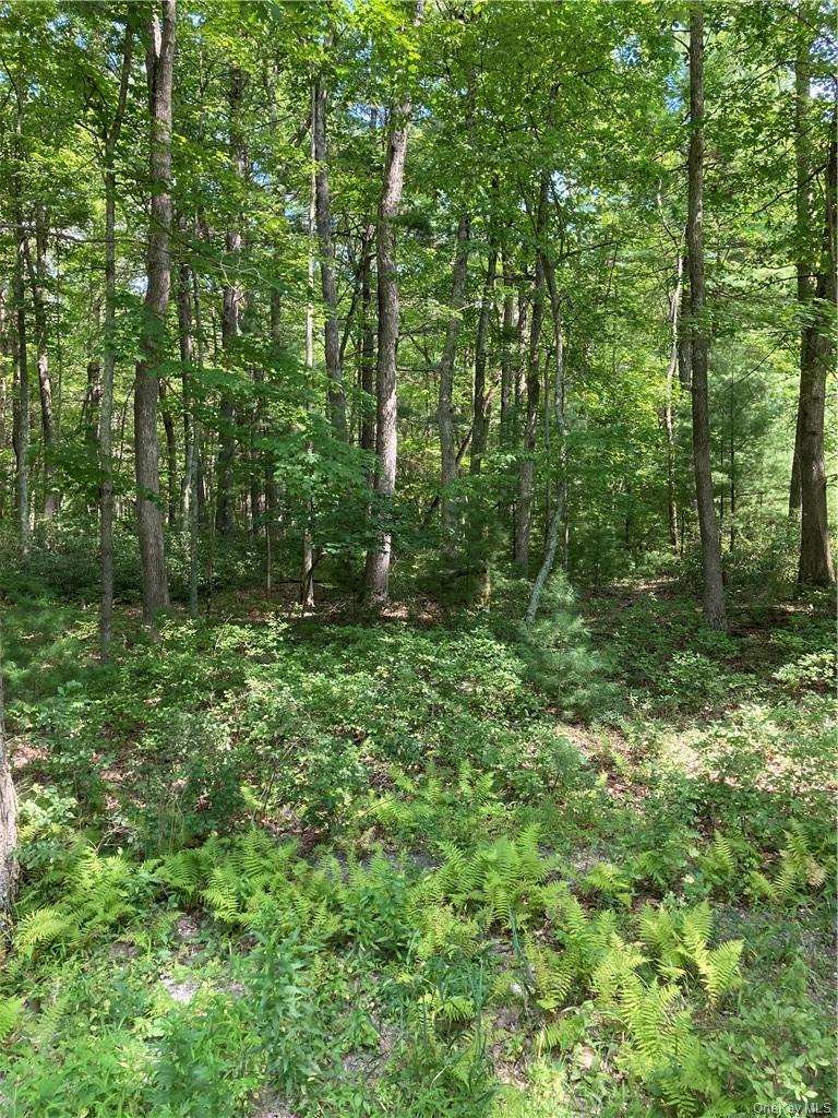 Allen Road – For Sale photo 12
