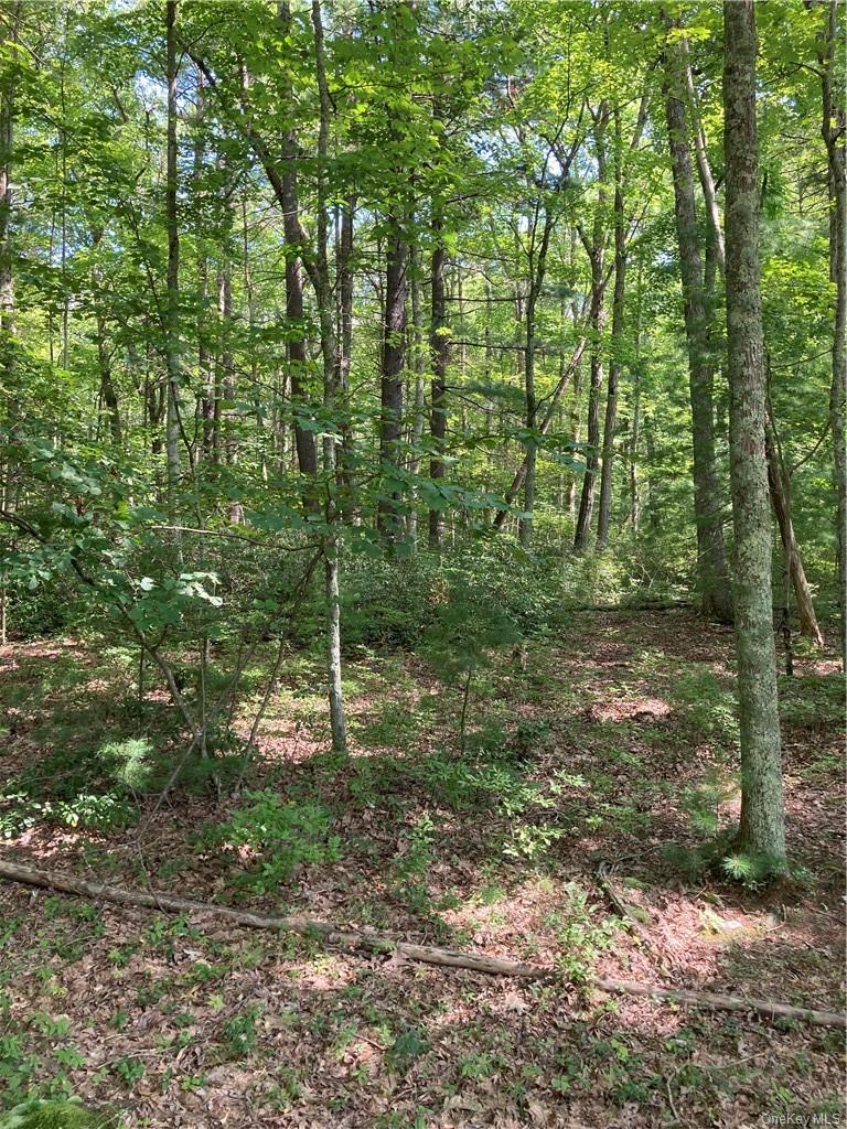 Allen Road – For Sale photo 8