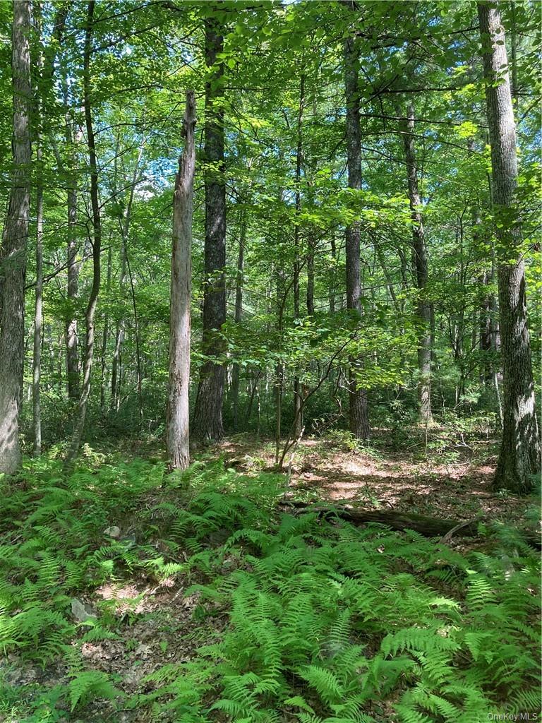 Allen Road – For Sale photo 2