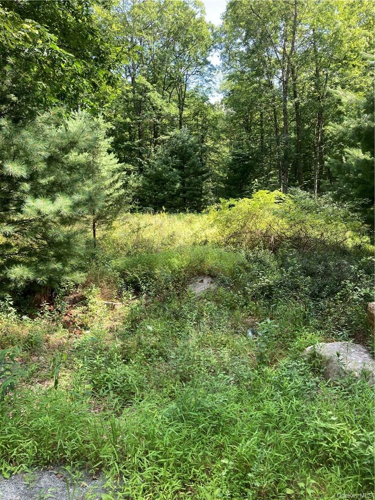 Allen Road – For Sale photo 13