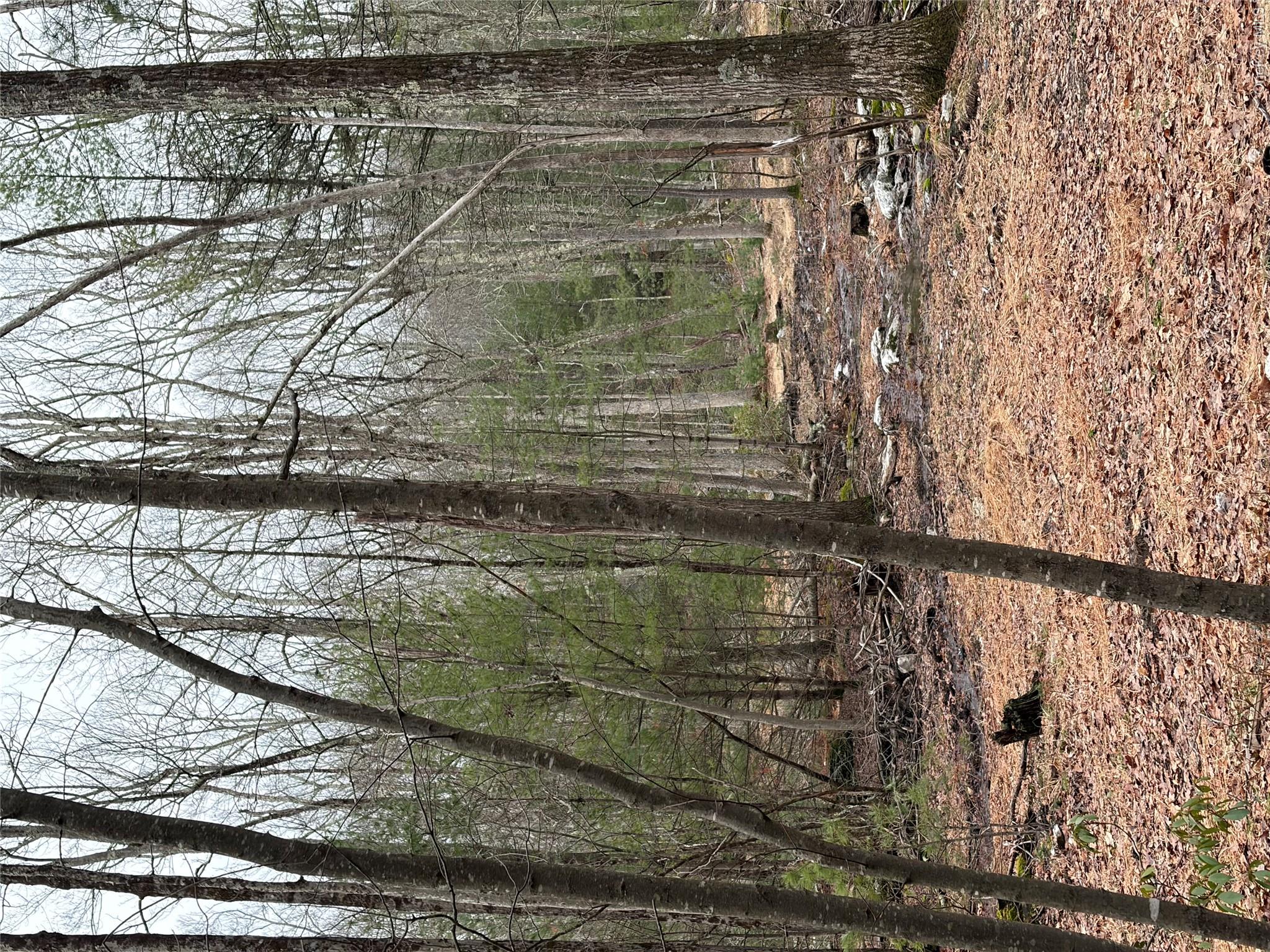 Allen Road – For Sale photo 7