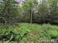 790 Oak Lane – For Sale photo 21