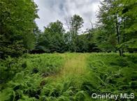 790 Oak Lane – For Sale photo 17