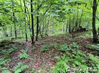 790 Oak Lane – For Sale photo 25