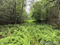 790 Oak Lane – For Sale photo 14
