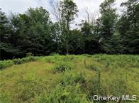 790 Oak Lane – For Sale photo 18