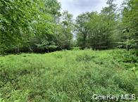 790 Oak Lane – For Sale photo 28