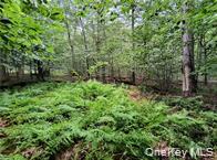 790 Oak Lane – For Sale photo 27