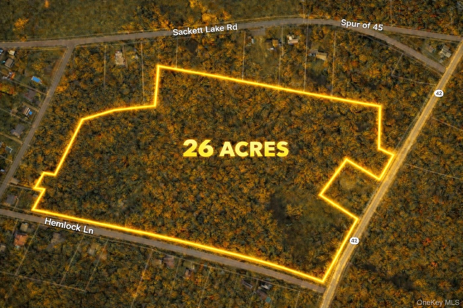 State Route 42 – For Sale photo 2