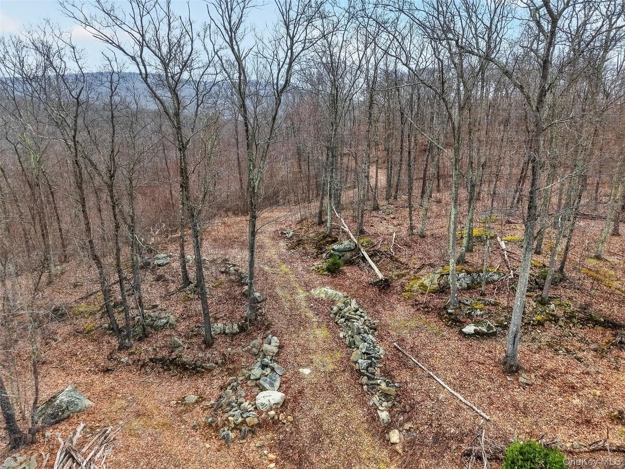 545 Grape Hollow Road – For Sale photo 11