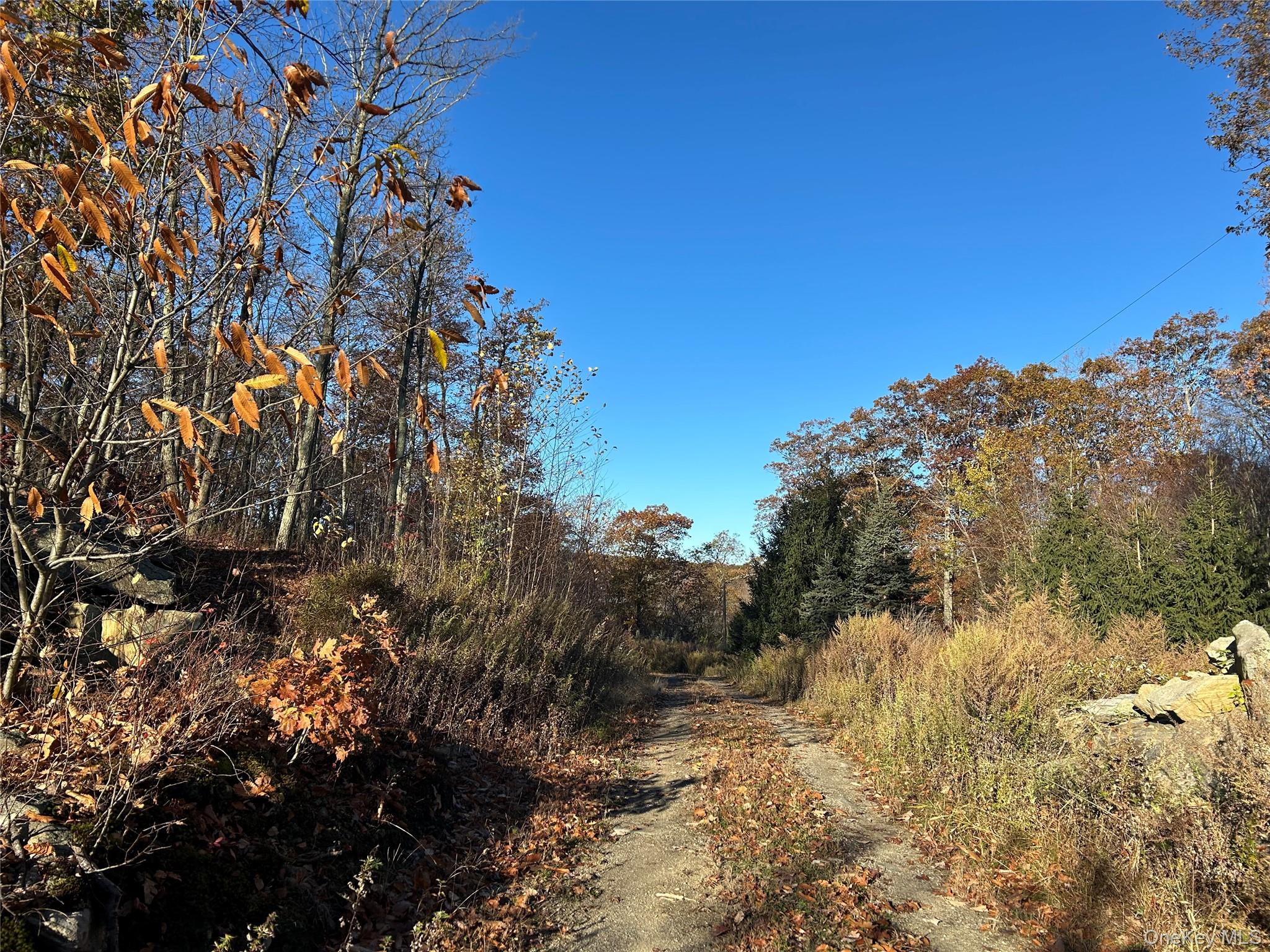 545 Grape Hollow Road – For Sale photo 8