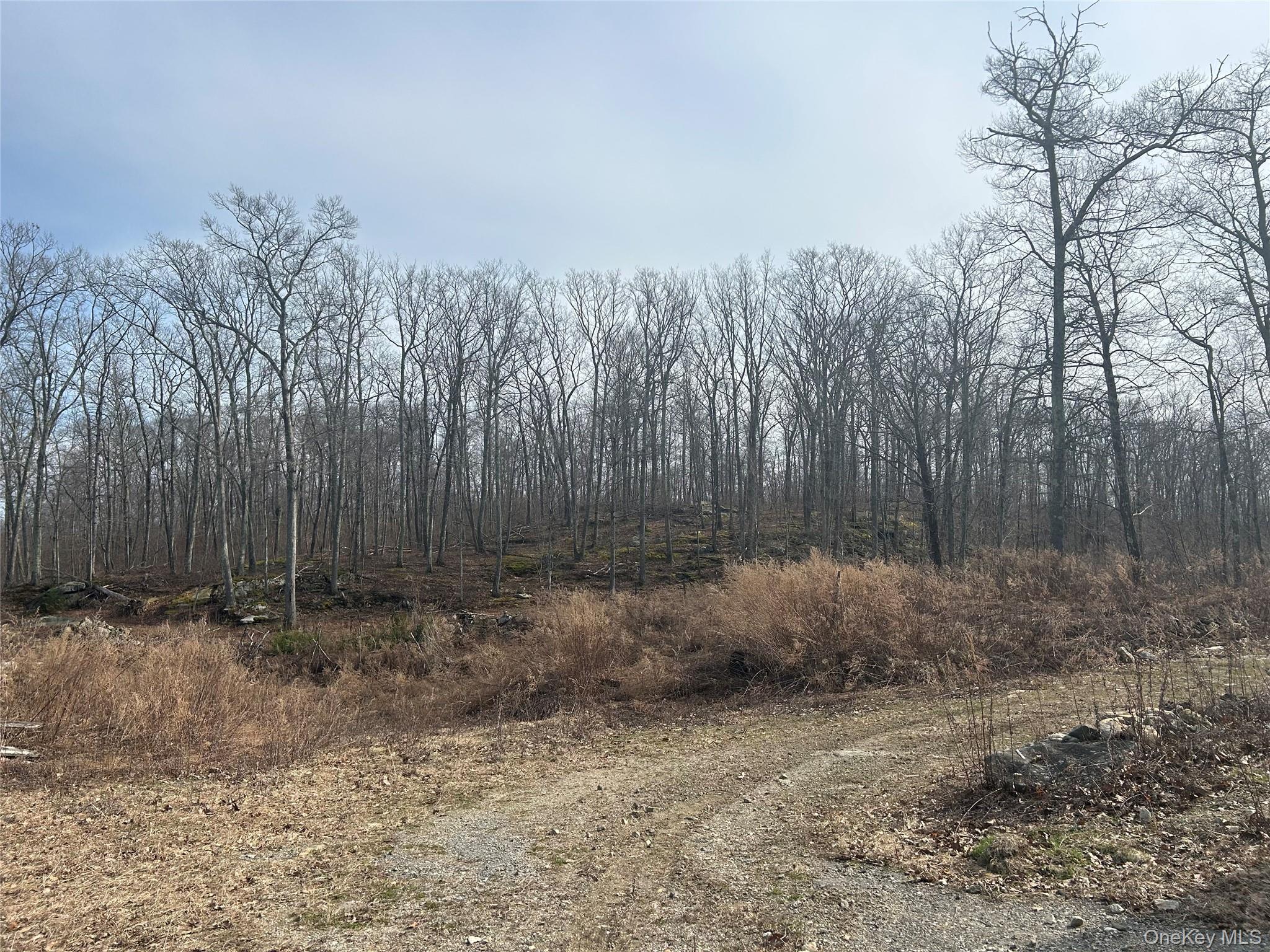 545 Grape Hollow Road – For Sale
