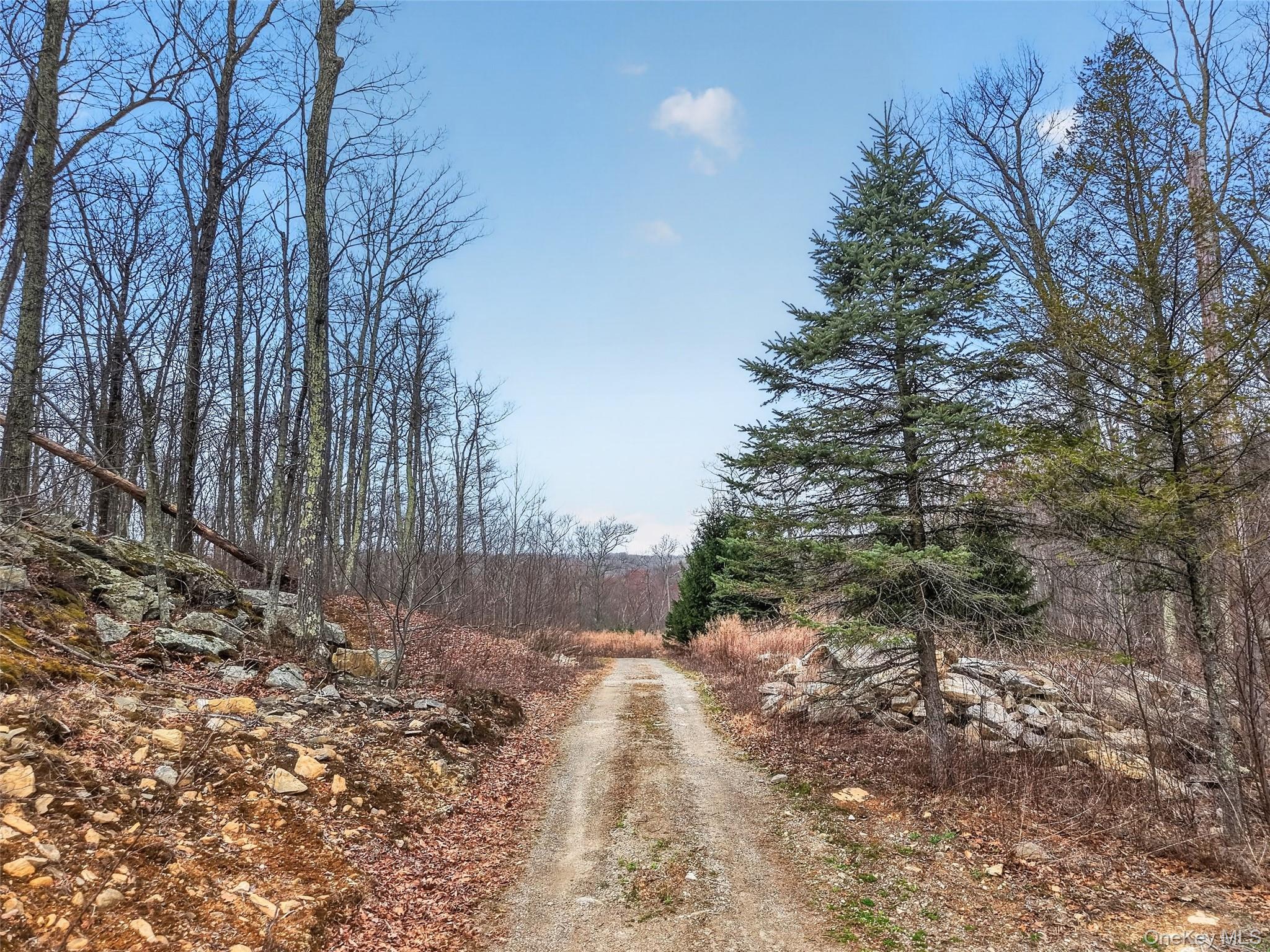 545 Grape Hollow Road – For Sale photo 15