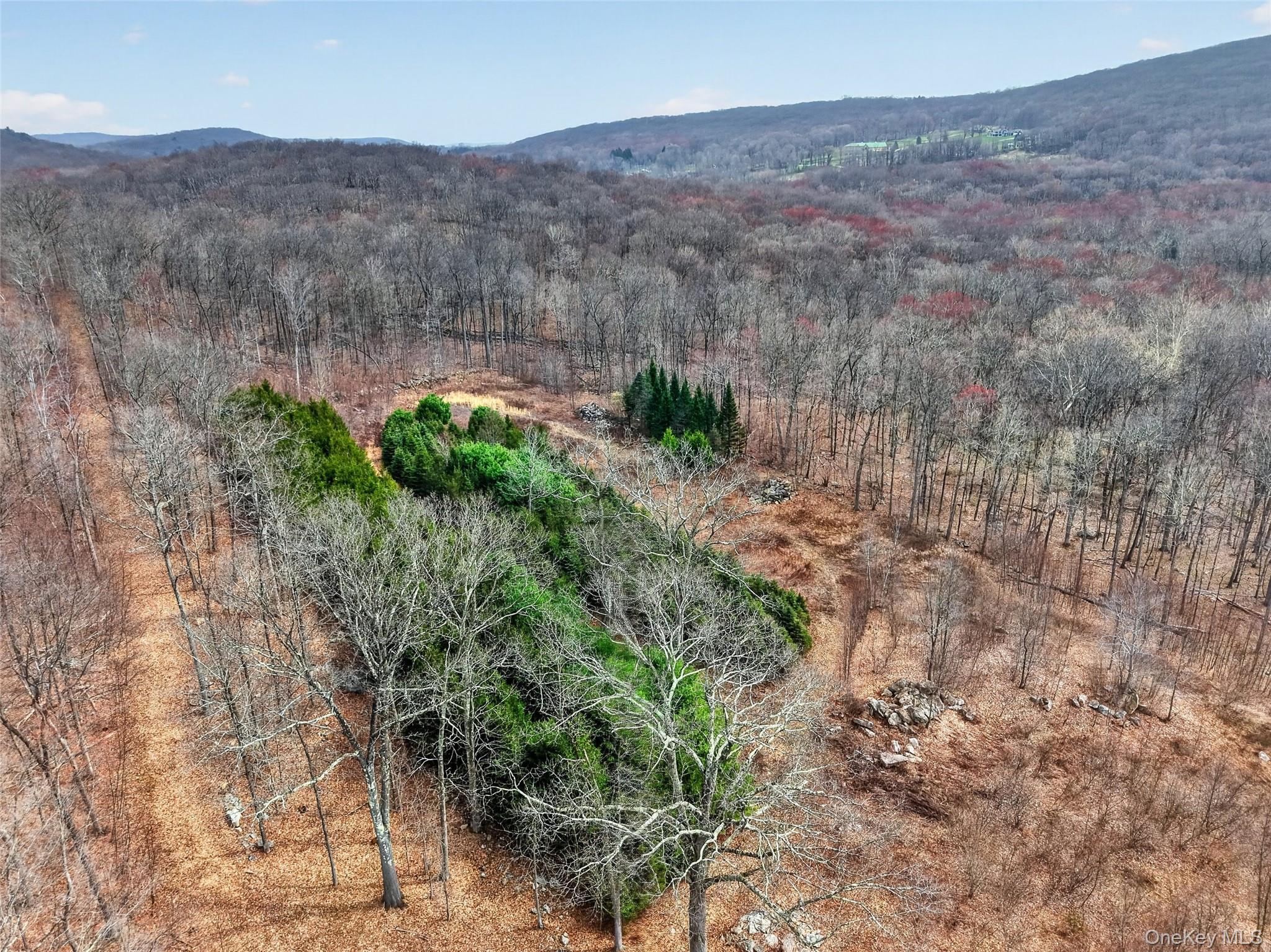 545 Grape Hollow Road – For Sale photo 22
