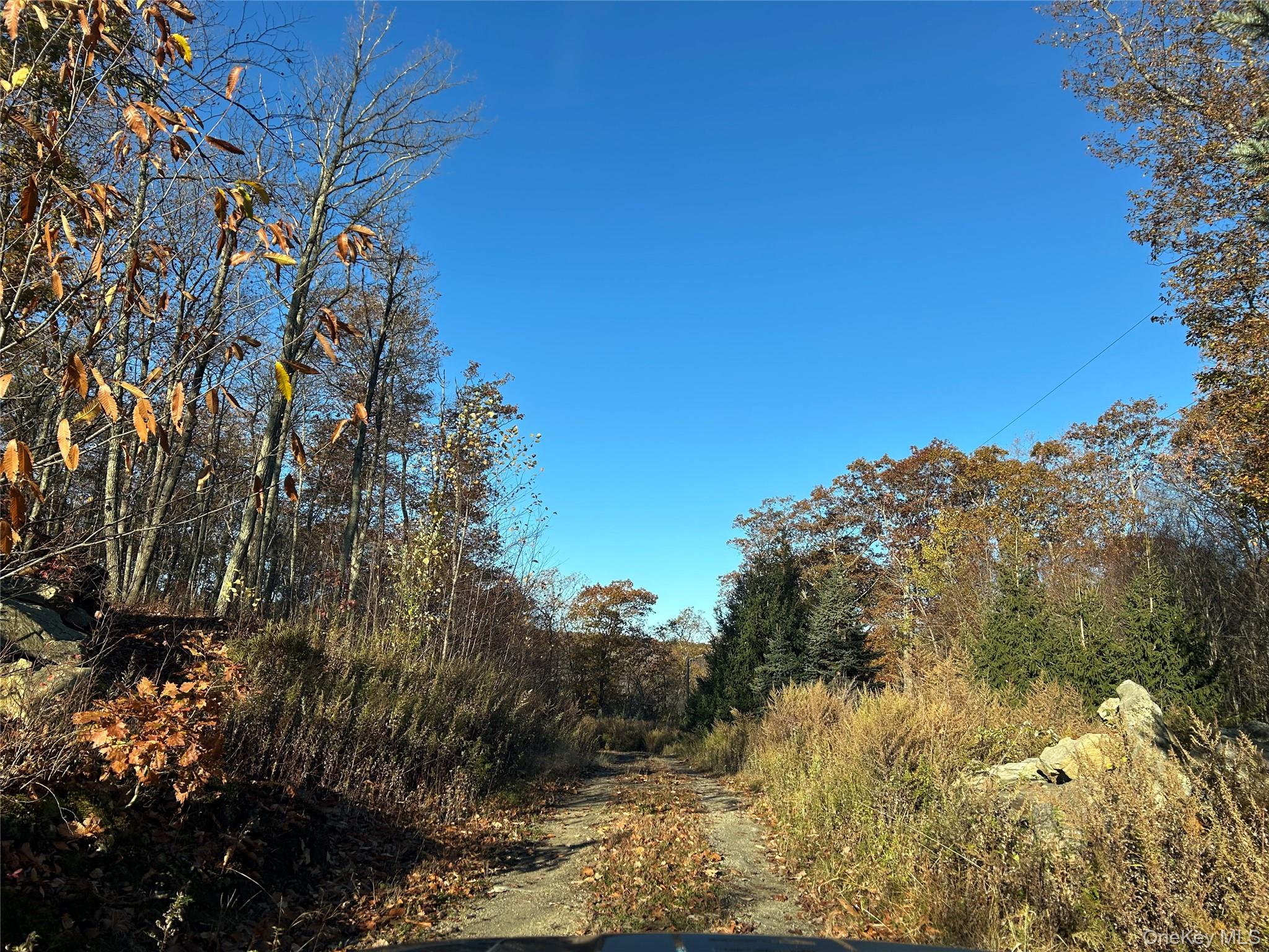 545 Grape Hollow Road – For Sale photo 28